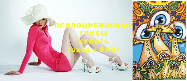 меф Вяземский
