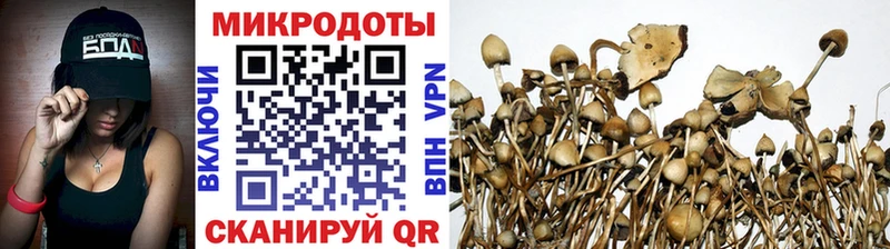 Галлюциногенные грибы прущие грибы  блэк спрут маркетплейс  Елабуга 